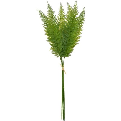 ZELEŇ PAPRAĎ ZVÄZOK x6 78CM