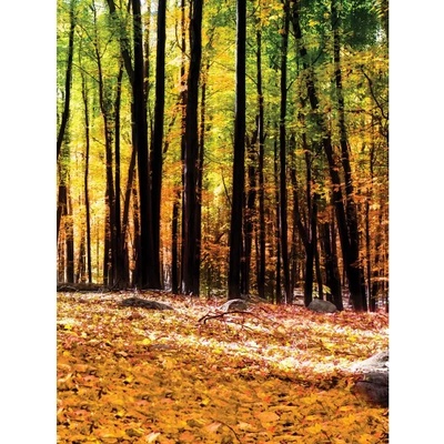 Фототапет Есенна гора 2