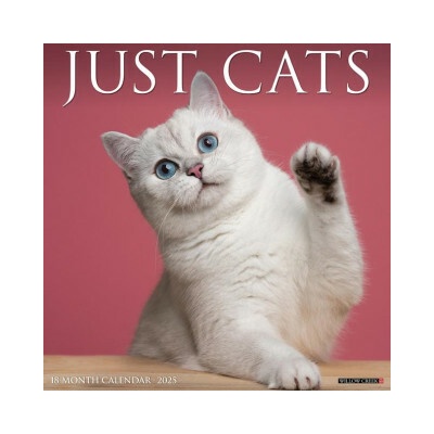 Cats 12 X 12 Wall 2026