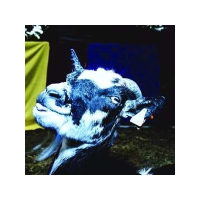 Barely Autumn - Day Trip To The Petting Zoo CLR LP