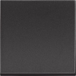 BTicino RG4001M2P Еднополюсен ключ 1P 10 AX - 250V 2M, Черен Classia - RG40001M2P (RG40001M2P)