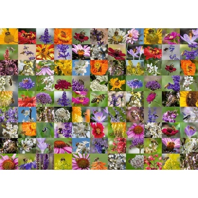RAVENSBURGER Včely na kvetoch 1000 dielov
