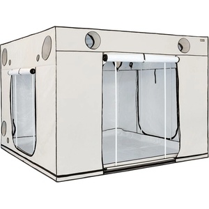 HOMEbox® HOMEbox Ambient Q300+ - Палатка за отглеждане на растения (300 x 300 x 220см) (610659)
