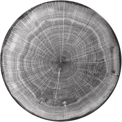 RAK Porcelain Woodart talíř mělký pr. 27 cm, šedý