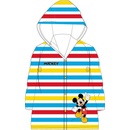 E plus M Mickey Mouse