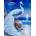 Norimpex - Puzzle Diamant painting: White peacock 30x40cm - 1 - 39 piese