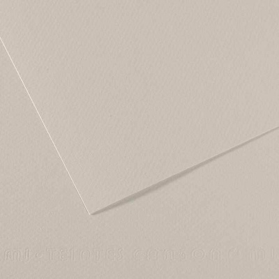 Canson Tónovaný papier Mi-Teintes 50 x 65 cm 160 g/m²Perleťová sivá 120