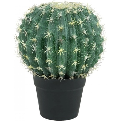 Kaktus v květináči, 34 cm