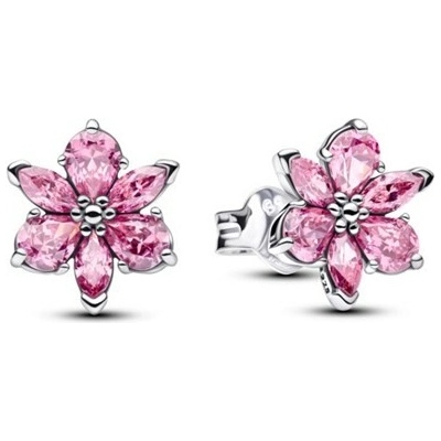 Pandora Napichovacie náušnice 292633C02