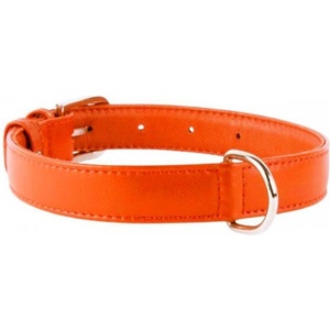 COLLAR Плосък кожен нашийник оранжев 27 - 36см, 15мм