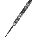 Winmau Michael van Gerwen Authentic 22 g