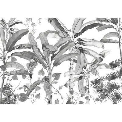 INX8-082 Fototapeta vliesová Croissances Monochrome rozměry 400x280 cm