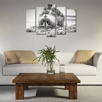 Art gift Декоративен панел за стена Котe 2