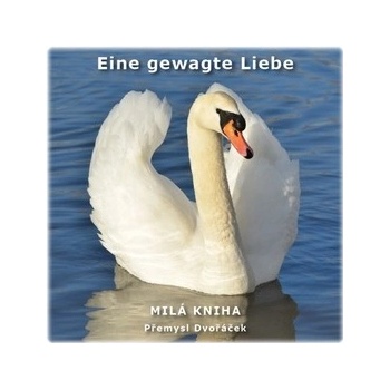 Eine gewagte Liebe