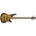 Ibanez SR4505