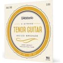 D'Addario EJ66