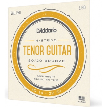 D'Addario EJ66