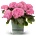 Hy-Pe Unique Хортензия Macrophylla Pink - Hy-Pe