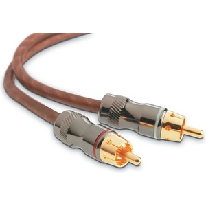 Focal EY 05 (EY05)