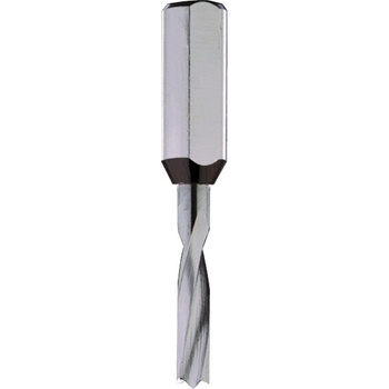 IGM C31002022