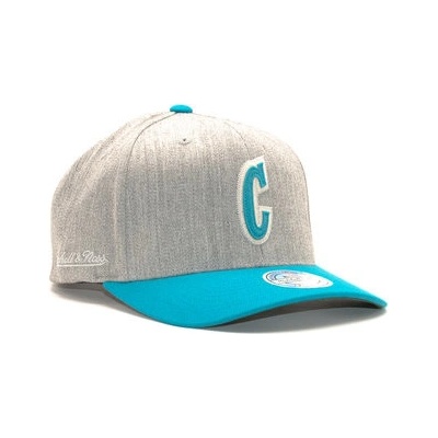Mitchell & Ness Charlotte Hornets Hometown Snapback Šedá vícebarevné Zelená