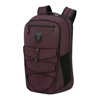 Samsonite DYE-NAMIC Grape Purple 20,5 l