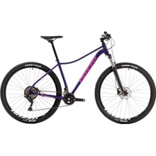 ROZZO Rose 40 2025