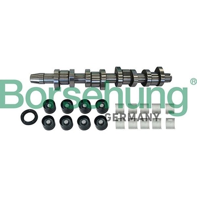 Sada vačkového hřídele Borsehung B11307