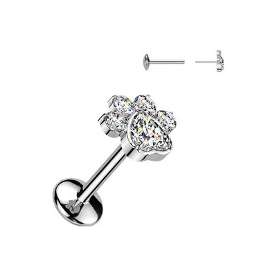 Šperky4U Piercing do brady tlapka PUSH IN labreta TITAN TIT1663