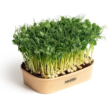 Sada pro domácí pěstování microgreens Hrášek Affyla