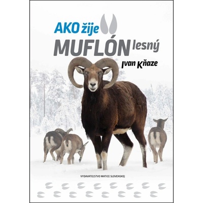 Ako žije muflón lesný - Kňaze Ivan