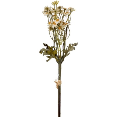 KYTICA TANACETUM KRÉMOVÉ 43CM