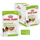 Royal Canin X-Small Adult 12 x 85 g