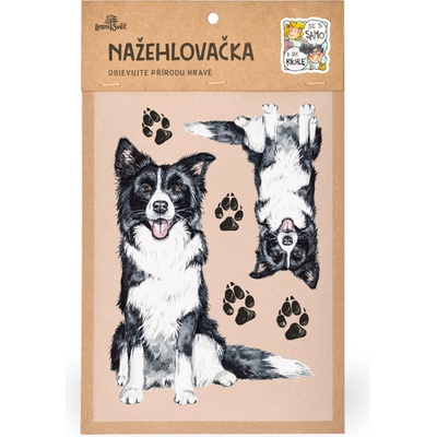 Lesní svět Nažehlovačka M 091 - Border kolie