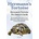 Hermann's Tortoise Owner's Guide. Hermann's Tortoise book for Diet, Costs, Care, Diet, Health, Behavior and Interaction. Hermann's Tortoise Pet