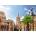 Ravensburger - Puzzle Saint Mary's Square, Valencia - 1 000 piese