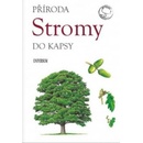 Stromy