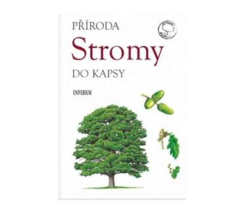 Stromy
