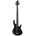 ESP LTD B-15KIT BLK