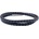 Nefertitis NF35885