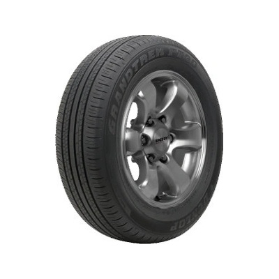 Dunlop Grandtrek PT30 ( 225/65 R17 102H)