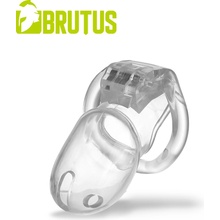 Brutus New Cage Work in Progress Clear