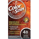 Barvy na vlasy Color & Soin barva na vlasy 4B kaštanově hnědá 135 ml