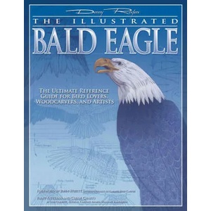 The Illustrated Bald Eagle | Denny Rogers (ISBN: 9781565232846)