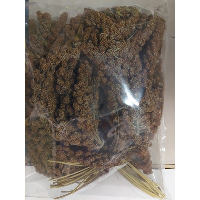 Fauna Hradil Senegalské proso červené 1 kg