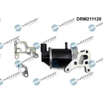 Dr.Motor Automotive AGR ventil DMA DRM211120