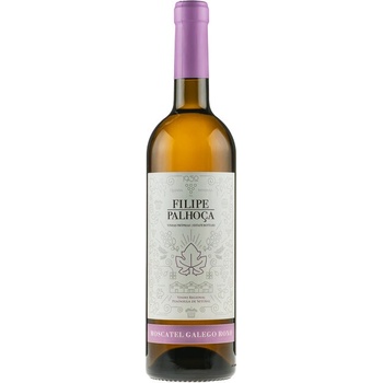 Filipe Palhoca Moscatel Galego Roxo 2023 12,5% 0,75 l (čistá fľaša)