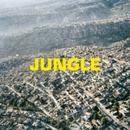 JUNGLE - The Blaze LP
