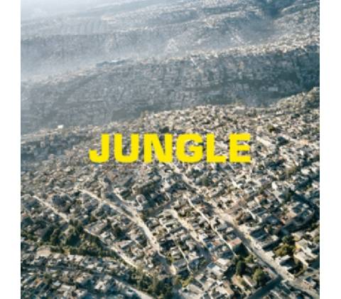 JUNGLE - The Blaze LP