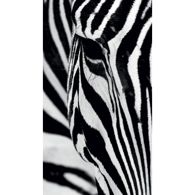 Fotozáclony Zebra 140x245cm FCS L 7519